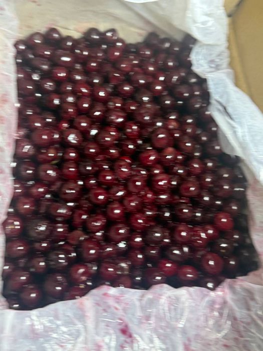 Вишня замороженная шпанка