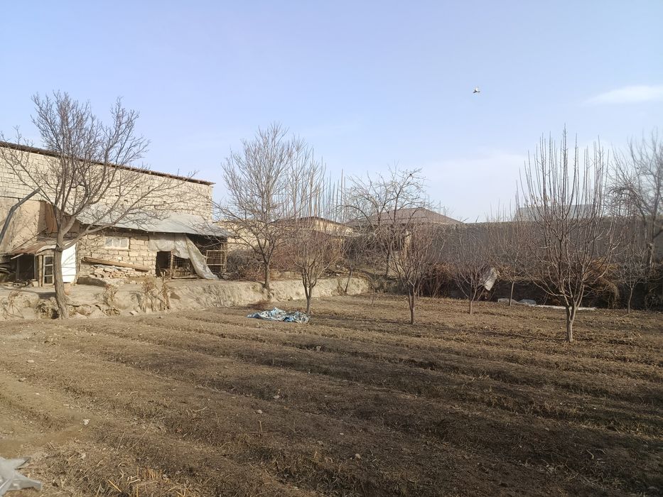 sodikzonberdimurodov