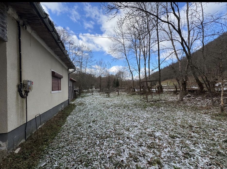 Vand cabana Ocolisel, Valea Ariesului