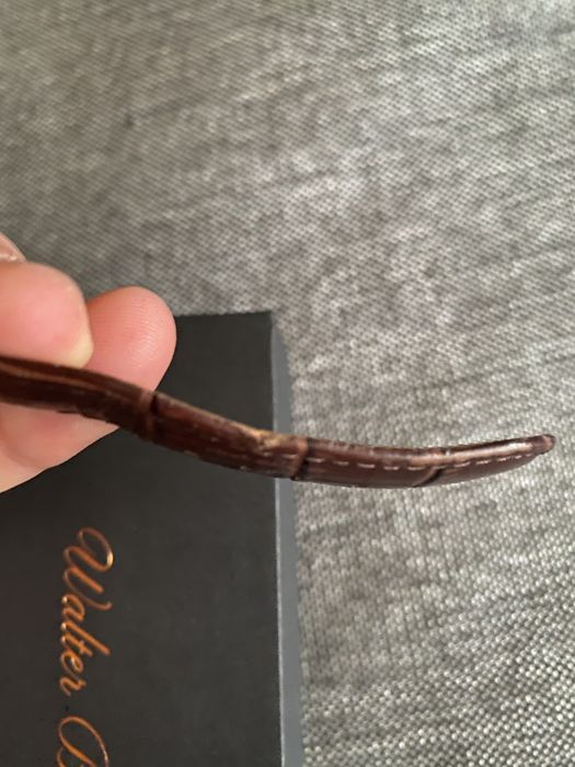 Ceas automatic Walter Bach