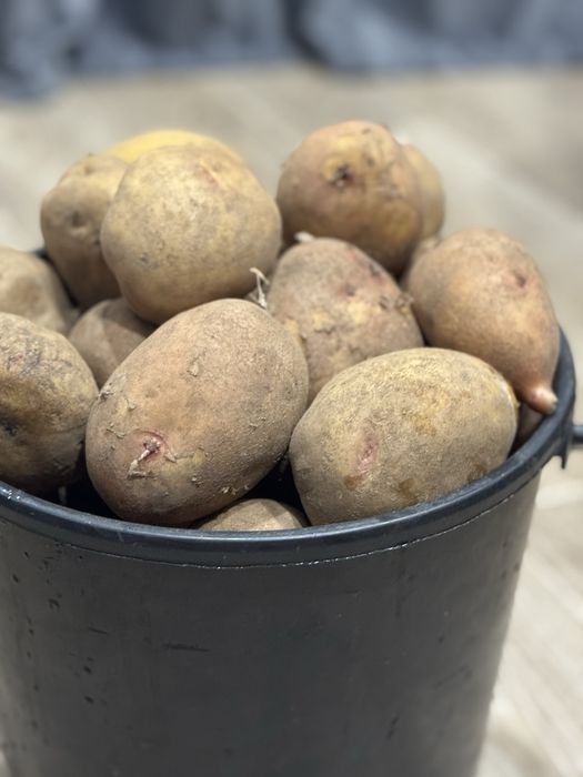 Продам картошку!!!