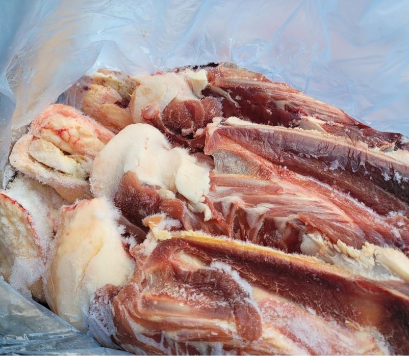 Меса  за кучета и котки