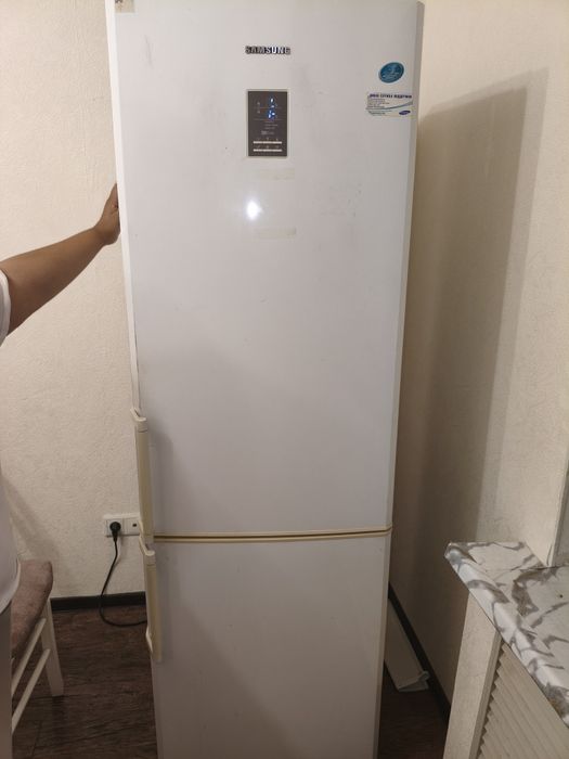 Холодильник Samsung RL40EGSW