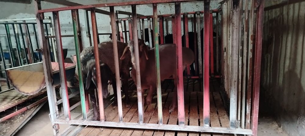 Куйхона сотилади 1.5га 1.5 кантанер