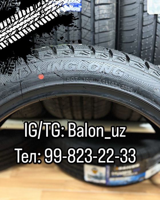 Leapmotor C16 Зимний 255/45R21