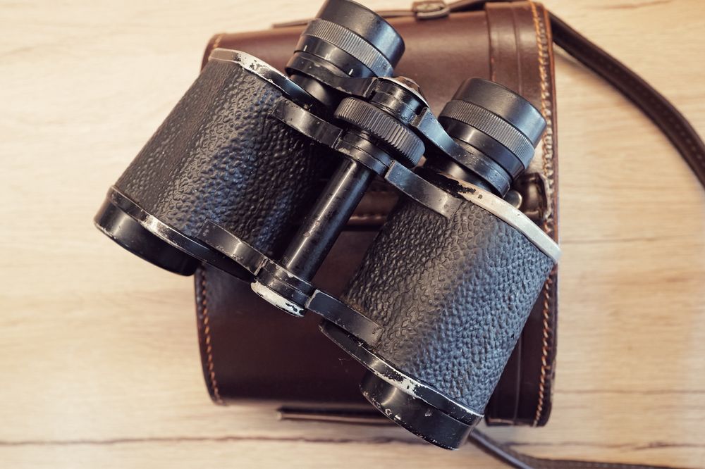 Binoclu Hensoldt Wetzlar Germany Diagon 8x30 cu toc zeiss