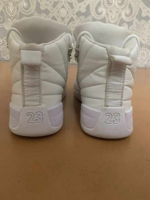 Nike Jordan 12 retro Evo