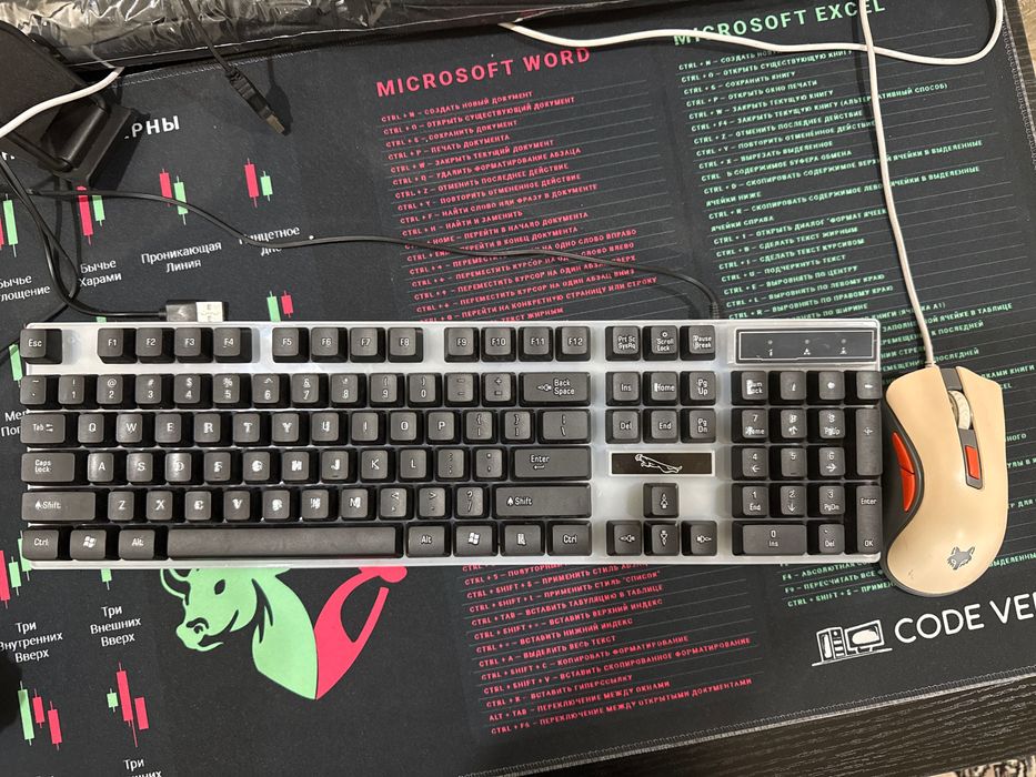 Klaviatura va sichqoncha