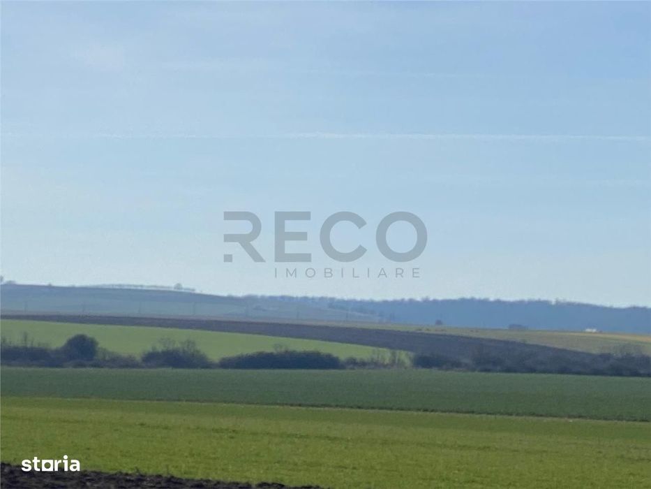 RECO Teren  pentru investitie  4ha Tauteu-Zona Autostrazii Transilvani