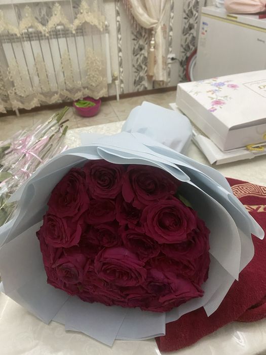 Гүлдер цветы арзан