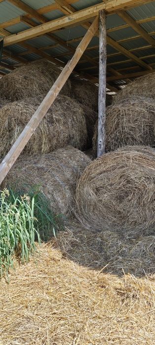 Baloți lucernă 150x120 coasa 2 și 3