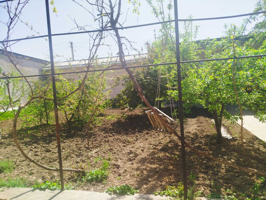 Toshkent shahri Samarqand darvozada 2-4 sotix yer maydoni