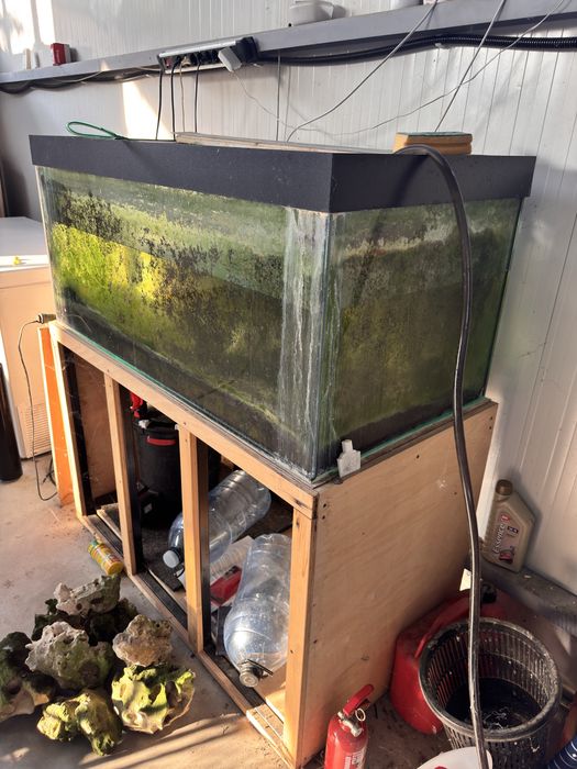 Fluval FX6 Mobilier Roca si accesorii multiple