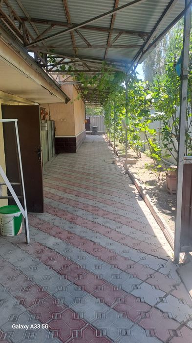 Комната Теректі,Алғабас
