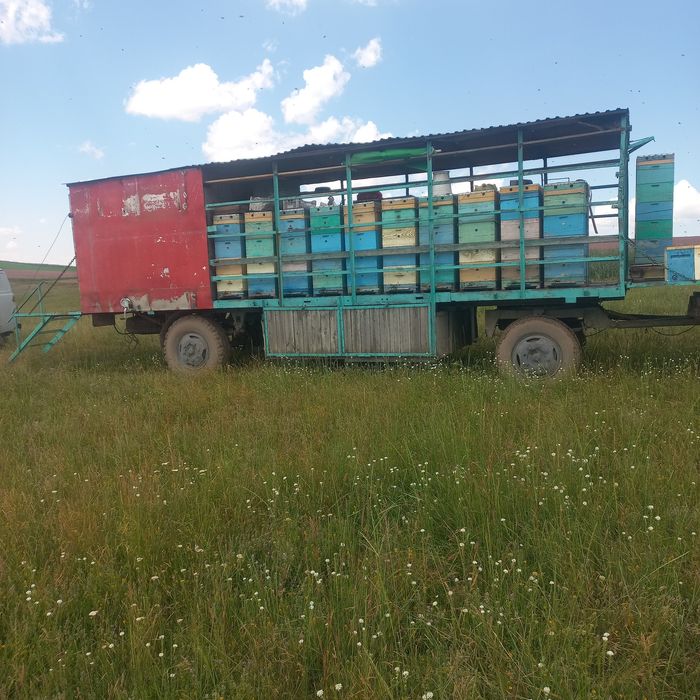 Продам пасеку в сцепке!!!