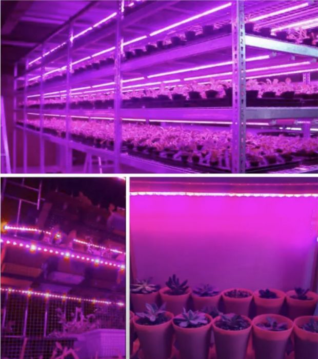 LED Plant Grow Light Full Spectrum USB Strip 3m