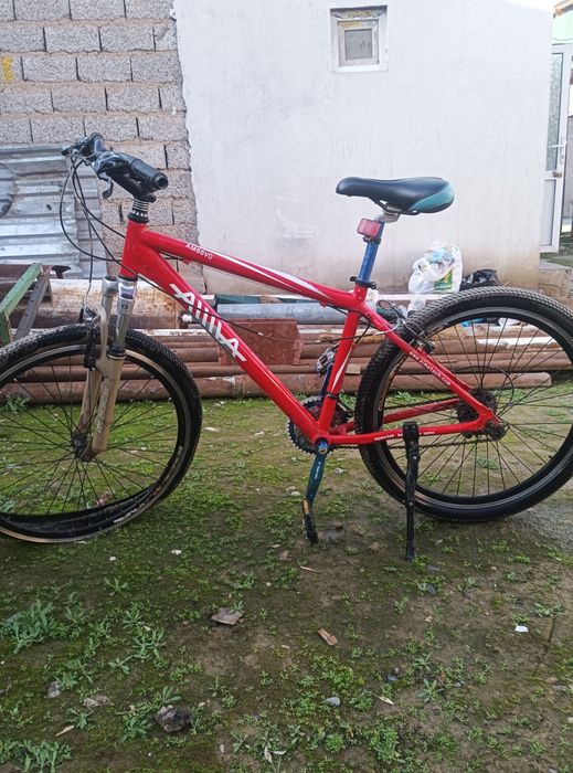 Velikla ariginal keliwiladigan narxlarda sotiladi.