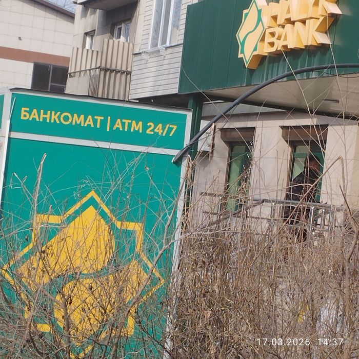 Собака сучка кто потерял