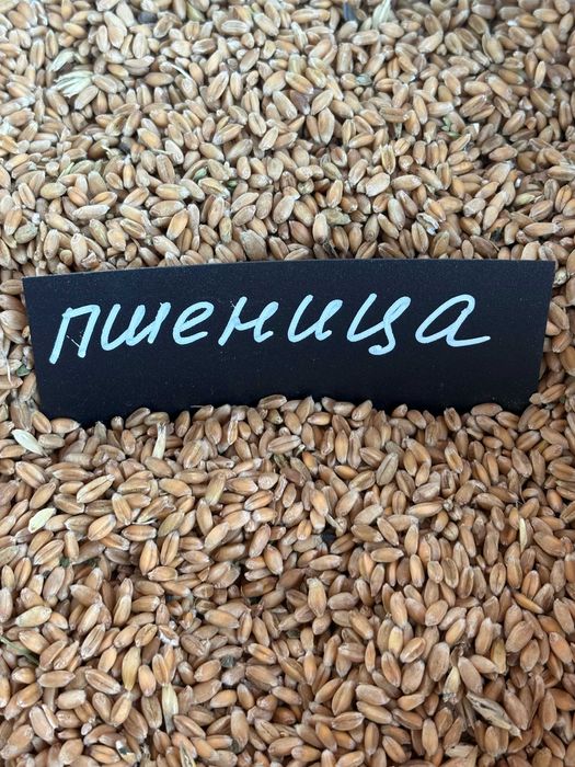 Продам отруби пшеничные мешками недорого