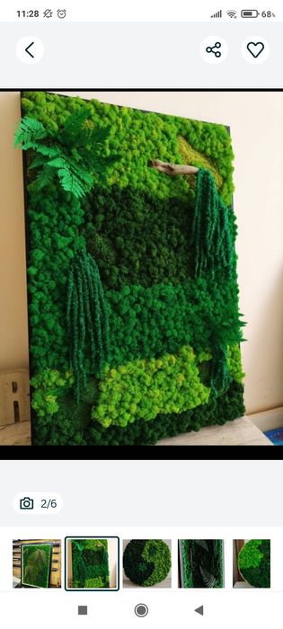 Озеленение стабилизированным мхом