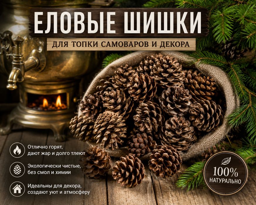 Продам Еловые шишки