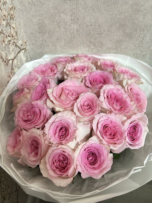 букет розы 25 шт