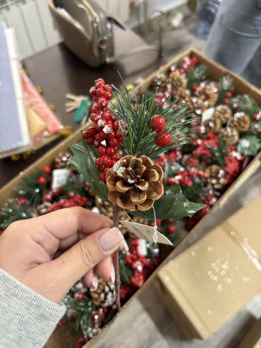 Ветки еловые веточки