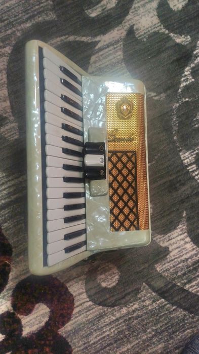 Scandal acordeon