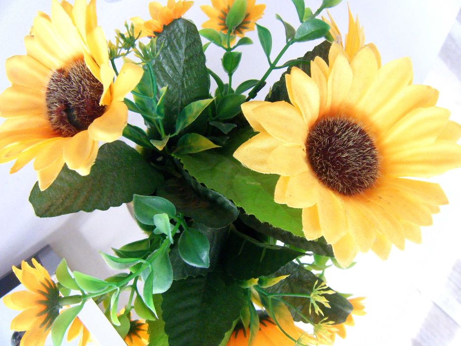 Fujifilm FinePix Z20fd - aparat foto digital (albastru electric)