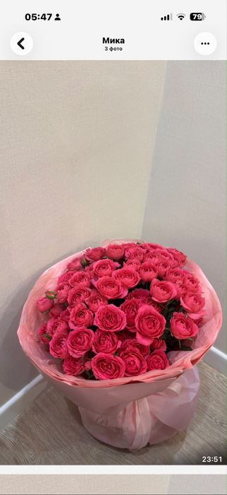 Свежий букет из роз