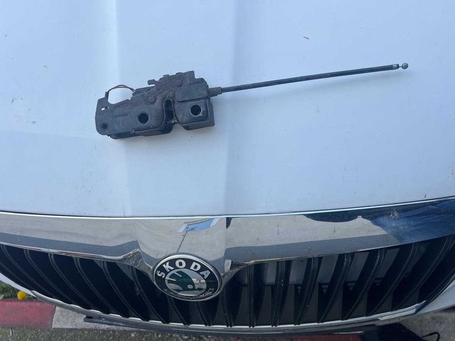 Broasca capota Skoda Octavia 2 FL