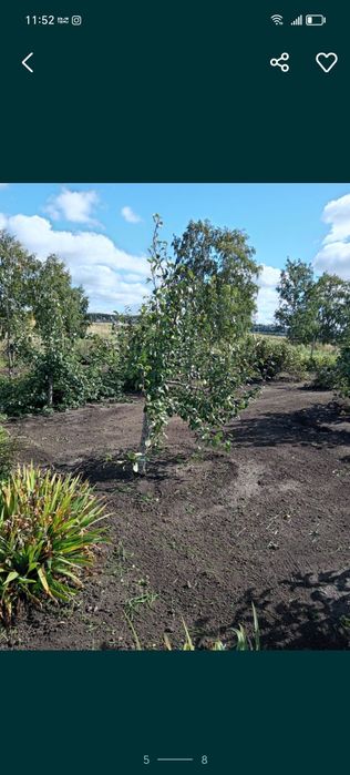 Продам участок Приишимка