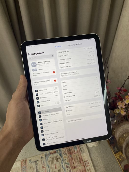 Ipad A16 256gb 100%