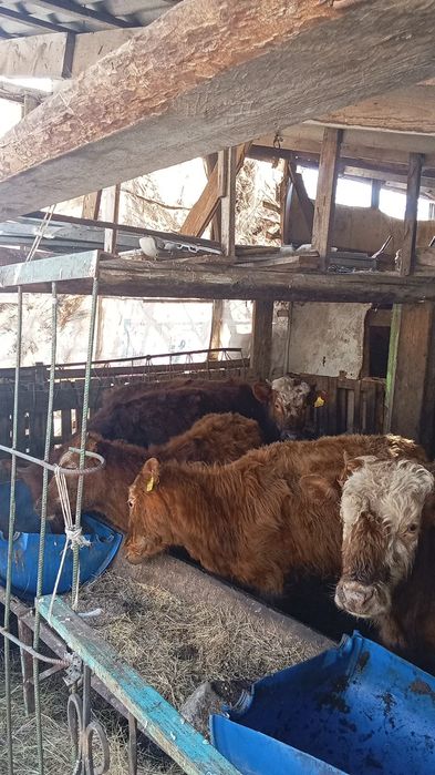 Баспак сайтам 5еу