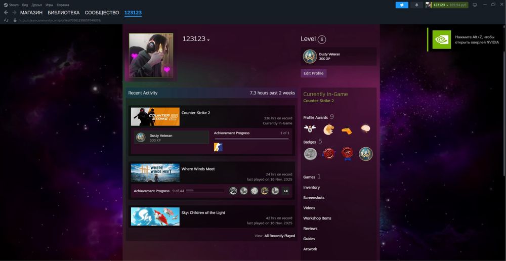 Steam CS2 PRIME 17к премьер