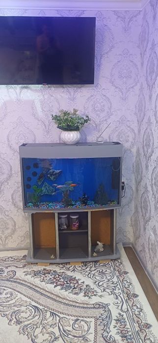 Аквариум акрил сотилади ҳолати зўр