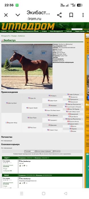 Таза қаңды байтал сатамын