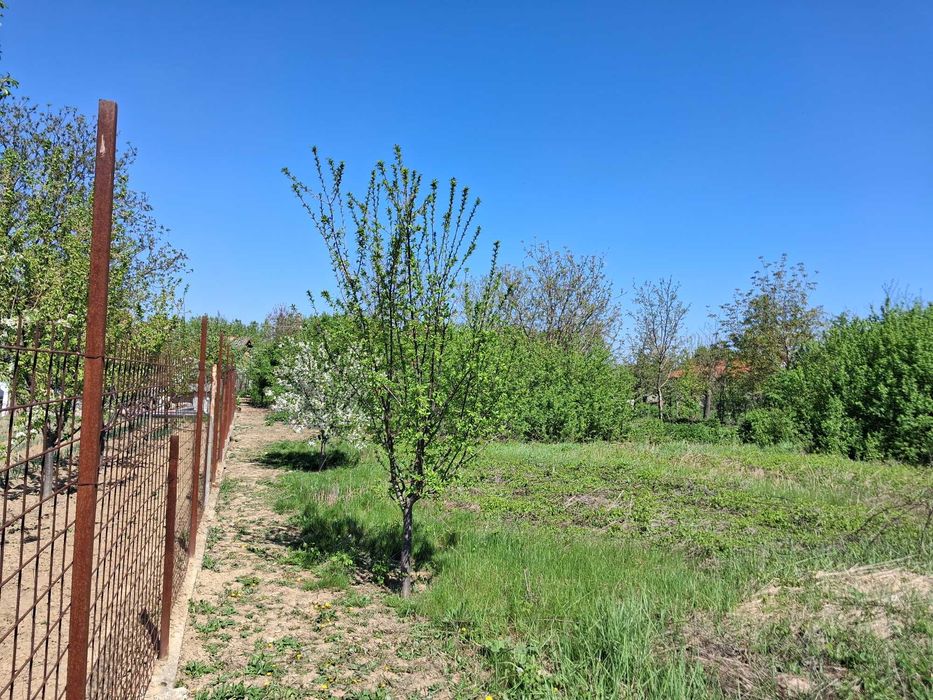 Casă + 1900 mp teren, utilități complete, gaze la poartă, 5 min DN1A – Cornești, Cristeasca