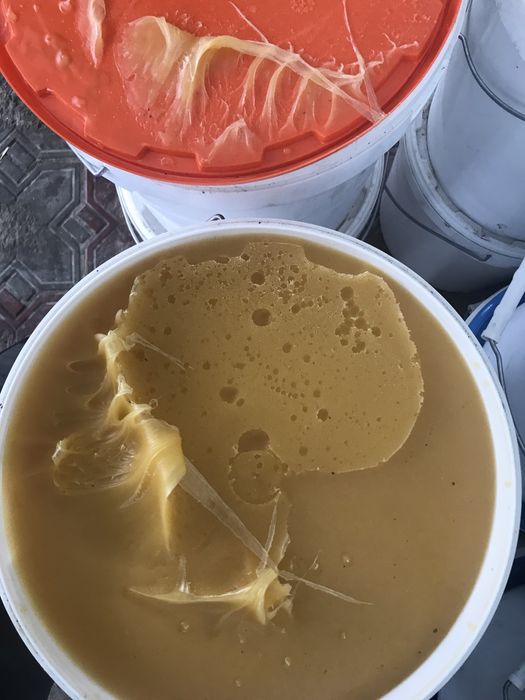 Мед. Восточный Казахстан. Разнотравье.