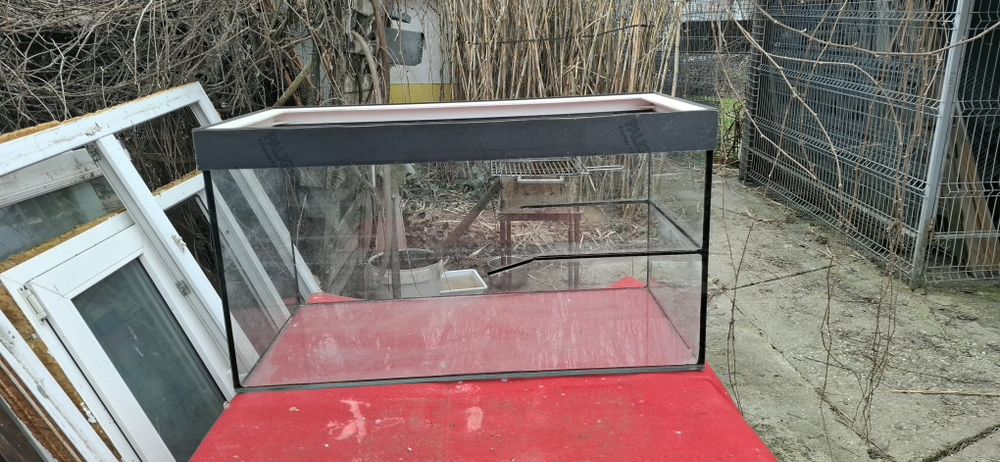 Acvariu 250L cu sticlă de 8mm