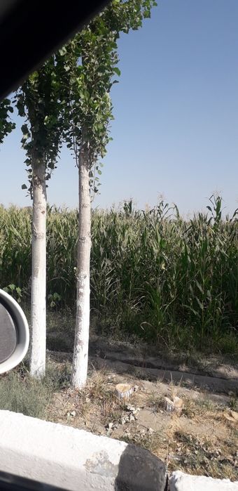 Фаргона шахрида селос макка поя