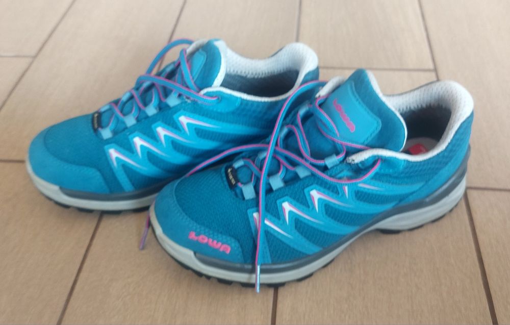 Lowa Innox Pro GTX Low