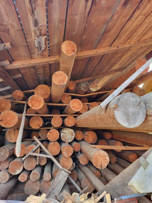 Barne cojite si uscate pentru constructii.