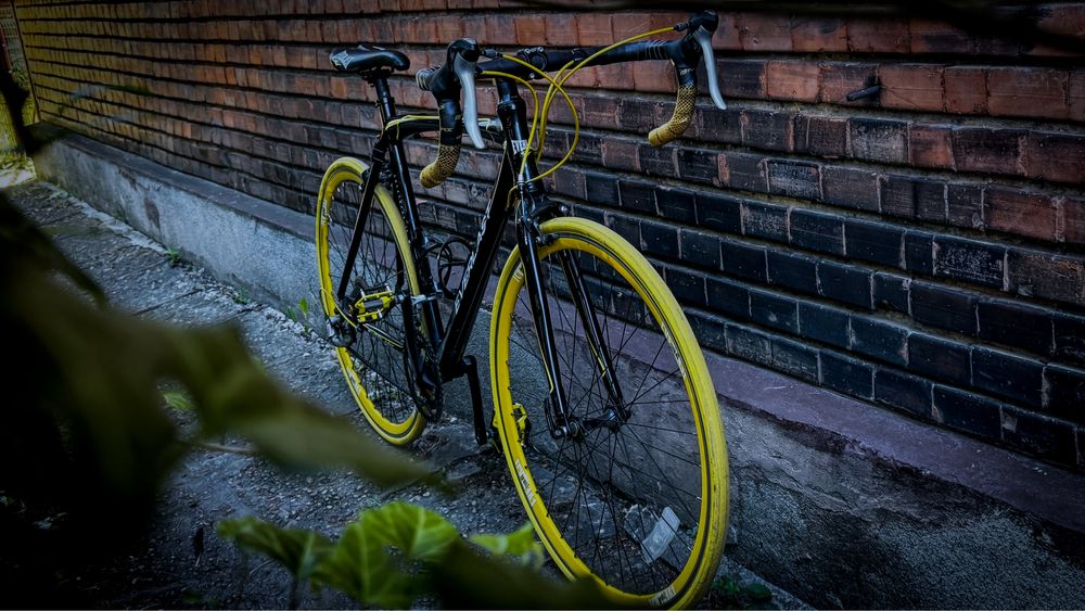 Cursiera Everlast | Shimano | Negru / Galben