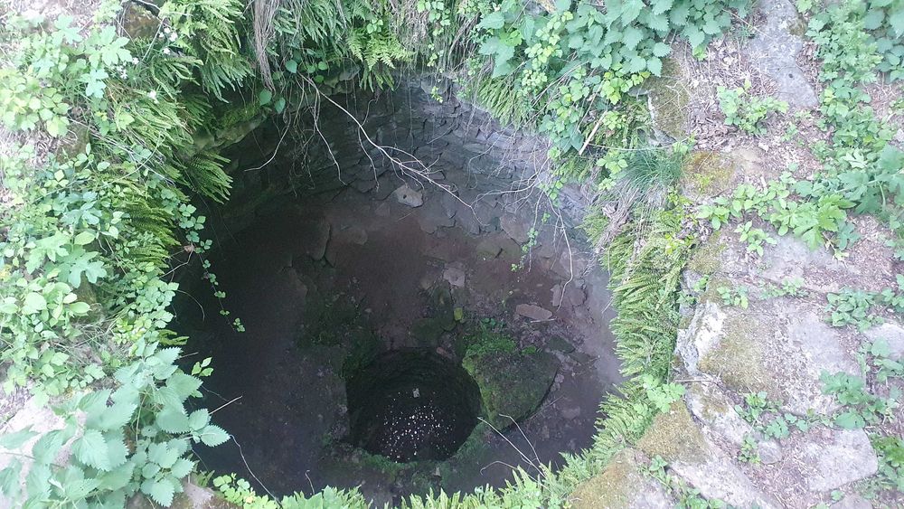 Продава се Парцел в с. Муртинци, Област Перник - 1363 кв.м за 8 €/кв.м - Снимка #4