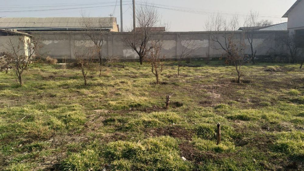 Hovli 16 sotix krestikda joylashgan