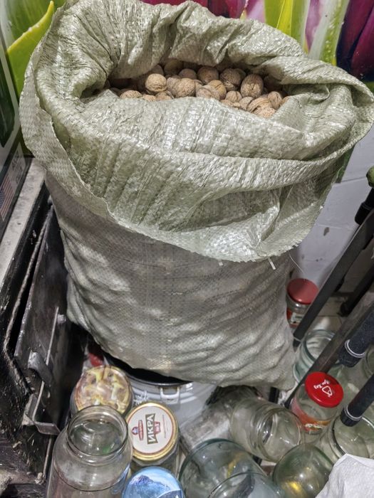 Продам грецкие орехи