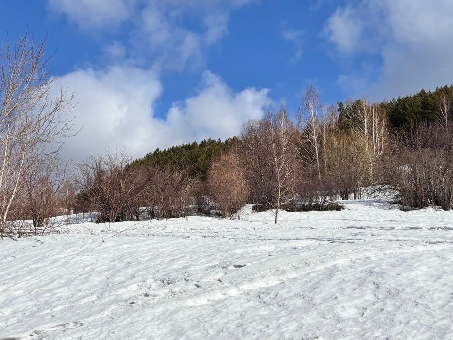 продам земельный участок