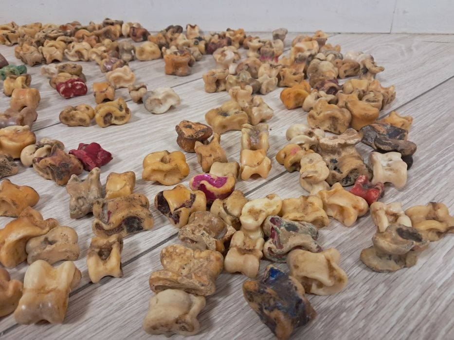 Асыки  бараньи натуральные.