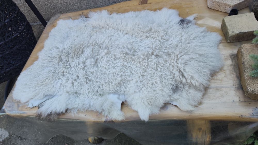 Piei de miel de vânzare